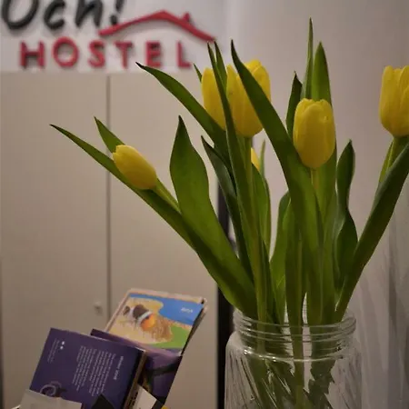 אכסניה Och!hostel גדינייה